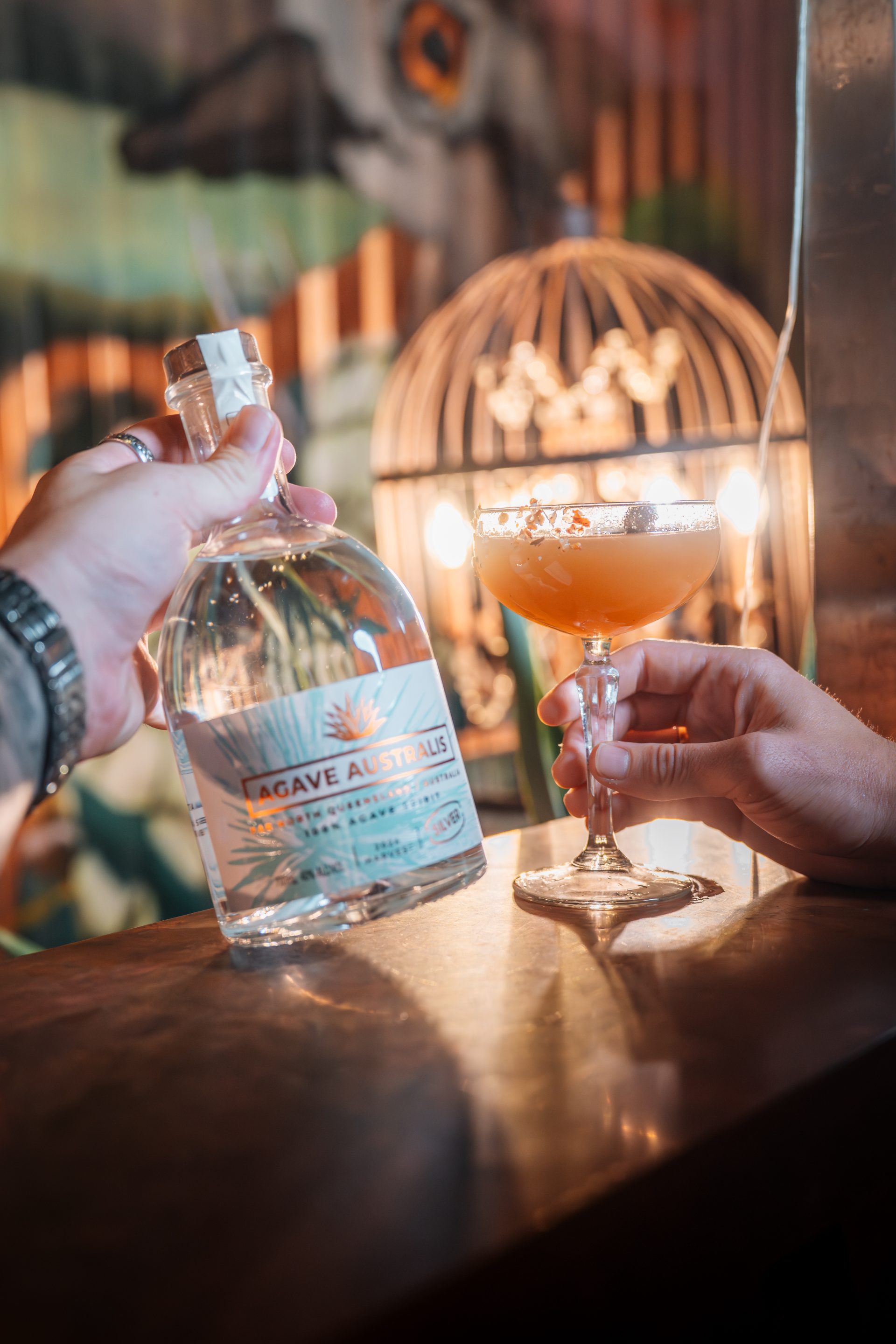 A chilli-flecked Agave Australis Silver cocktail in a coupe with a spiced rim, held beside the Silver bottle at a bar