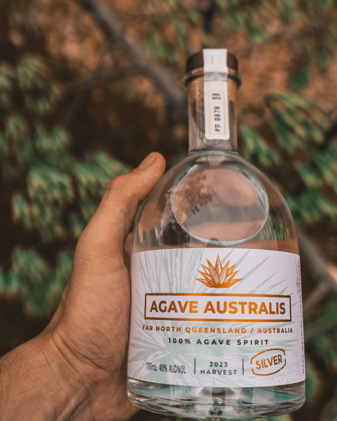 A hand holding a bottle of Agave Australis Silver in front of growing agave