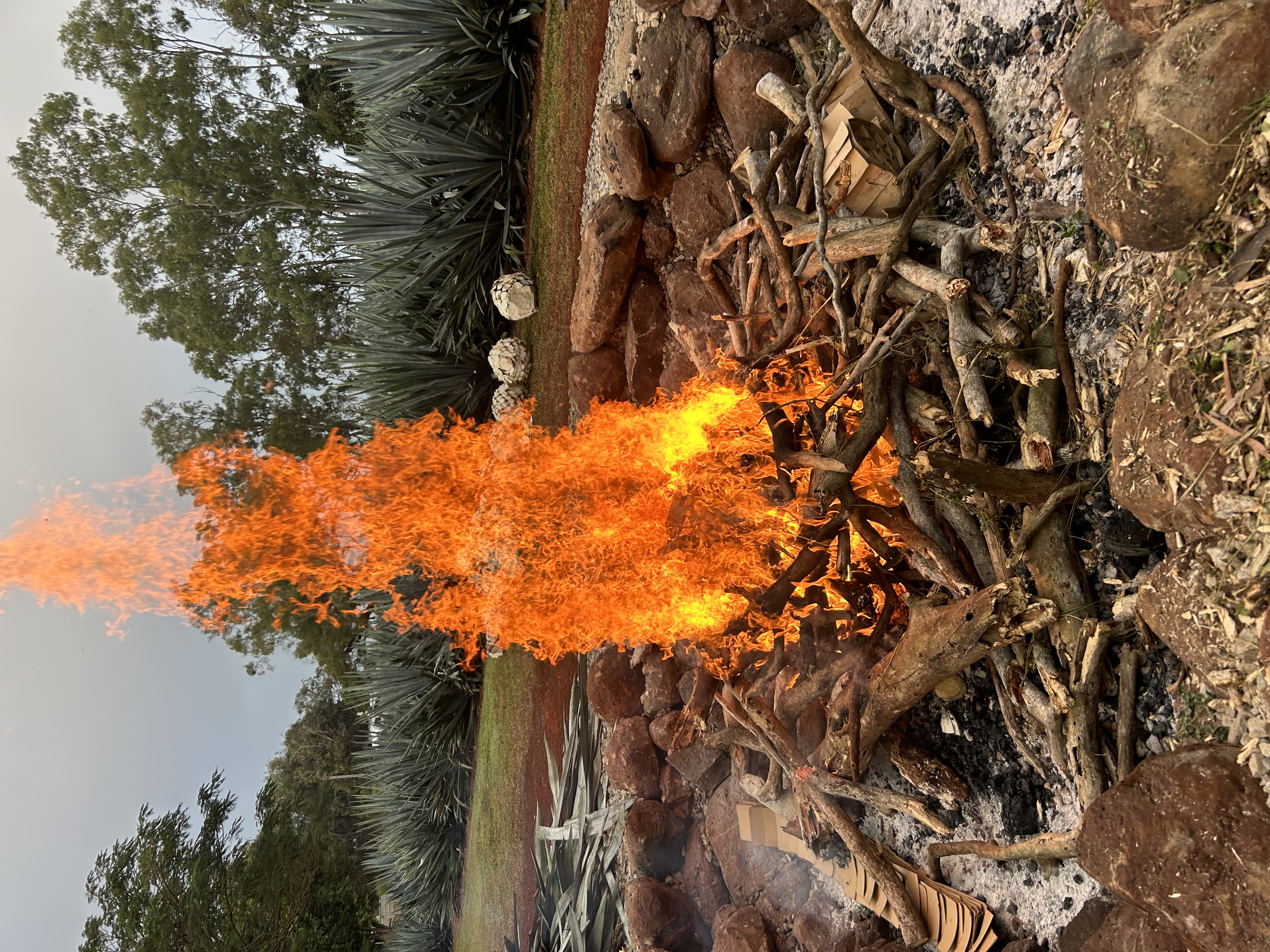 Open fire burning down for the roasting pit